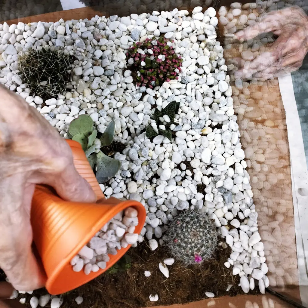 lab-giardinaggio-6